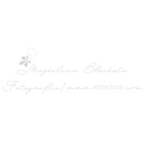 Magdalena Błachuta Fotografia